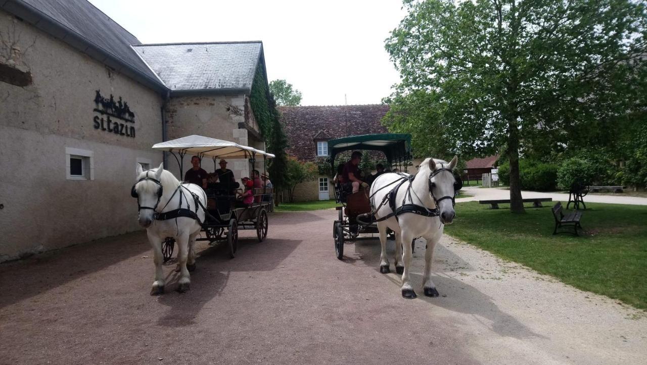 Le Village De Cottages - Le Pole Du Cheval Et De L'Ane Lignières Eksteriør billede